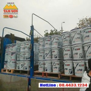 Sơn giả gỗ có bền màu theo thời gian không? Đánh giá chi tiết nhất